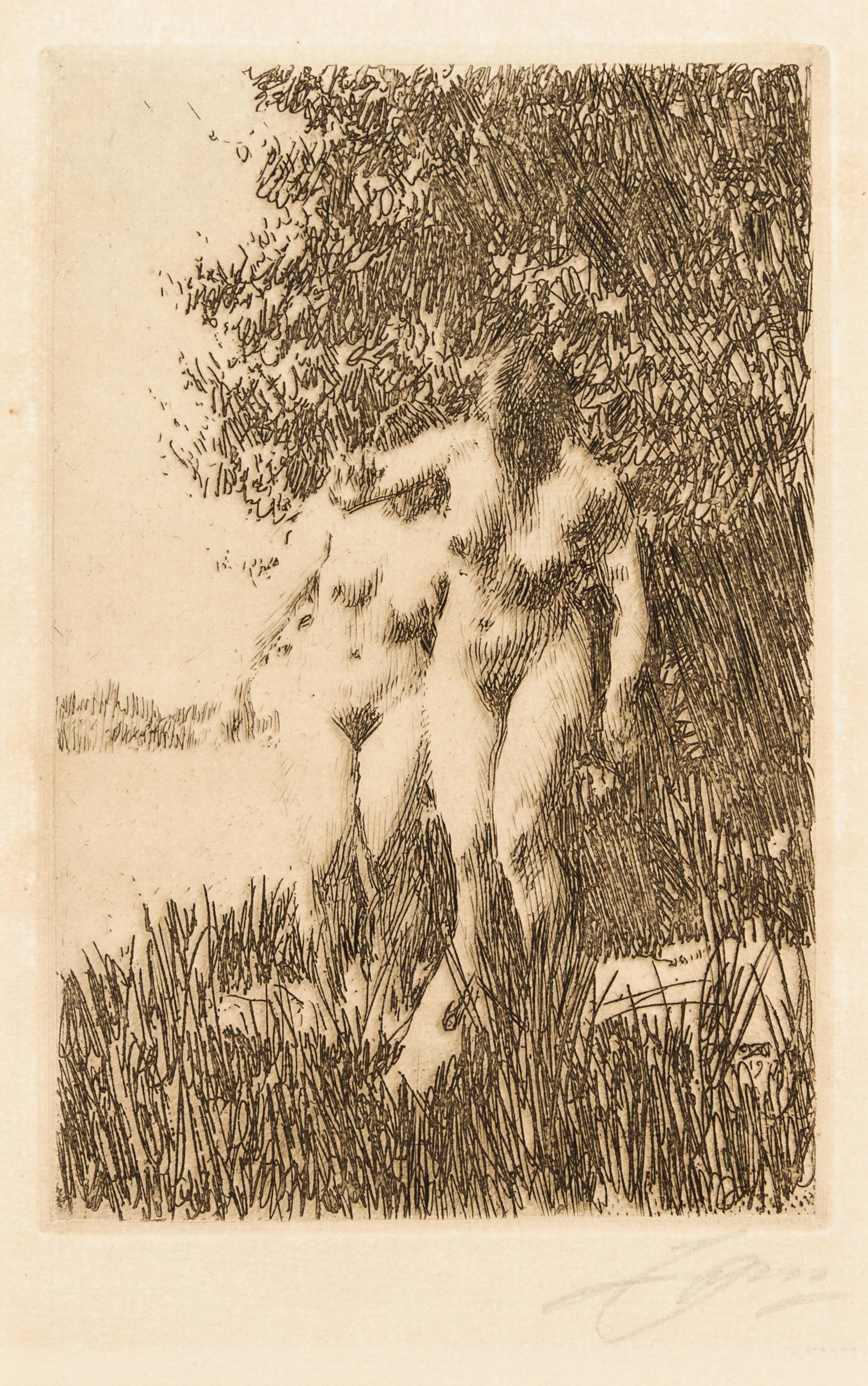 Anders Zorn, (Swedish, 1860-1920), Alder, 1917