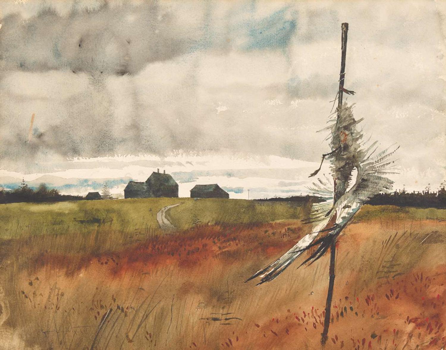 Blueberry Fields, Olson House (Cushing, Maine) , 1964