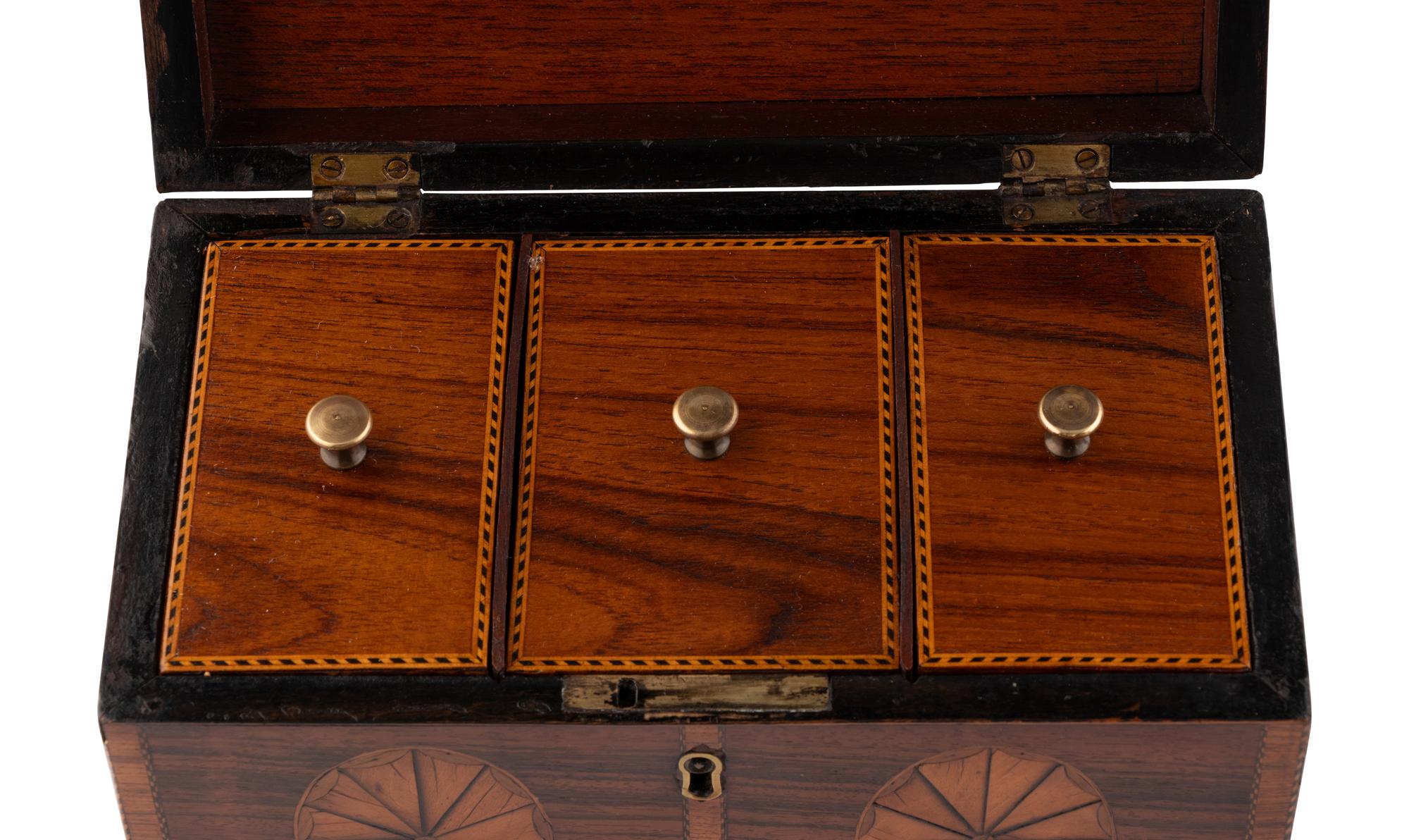 Two English Tea Caddies