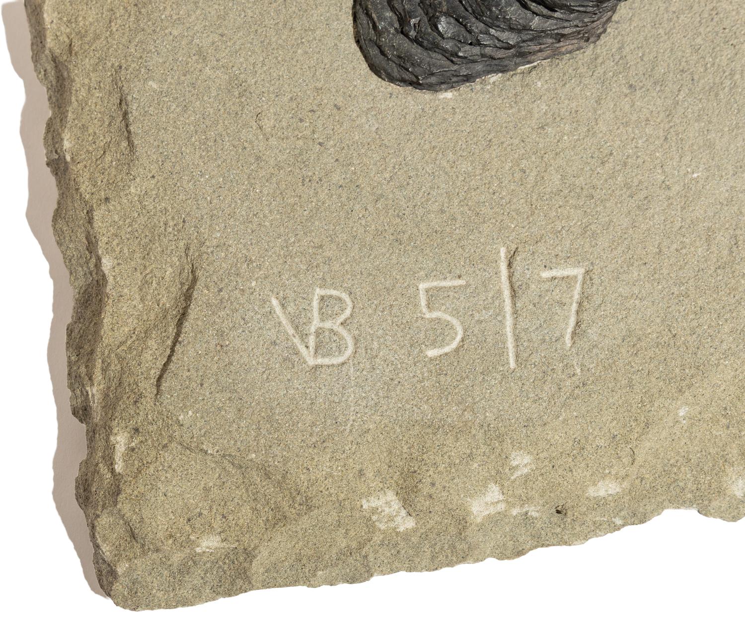 Boaz Vaadia (Israeli/American, 1951-2017) — Yissakhar , 2006