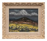 New Mexico Mountain