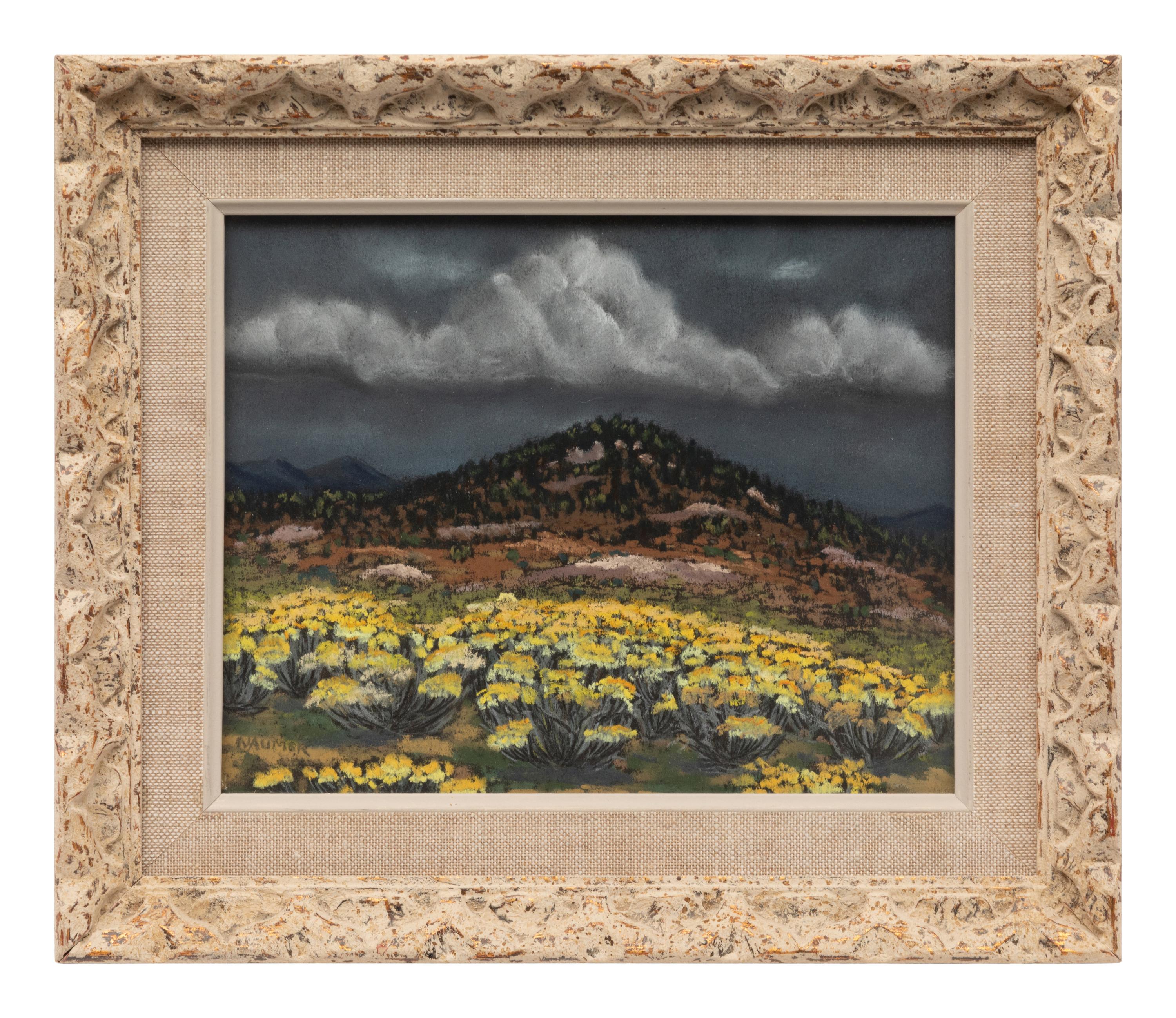 New Mexico Mountain