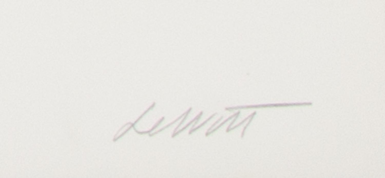 Straight Lines, Approximately One Inch Long