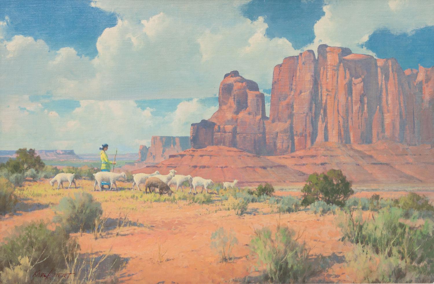 Navajo Beauty