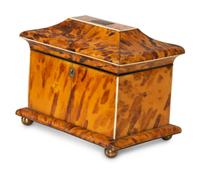A Regency Tortoise Shell Veneered Tea Caddy