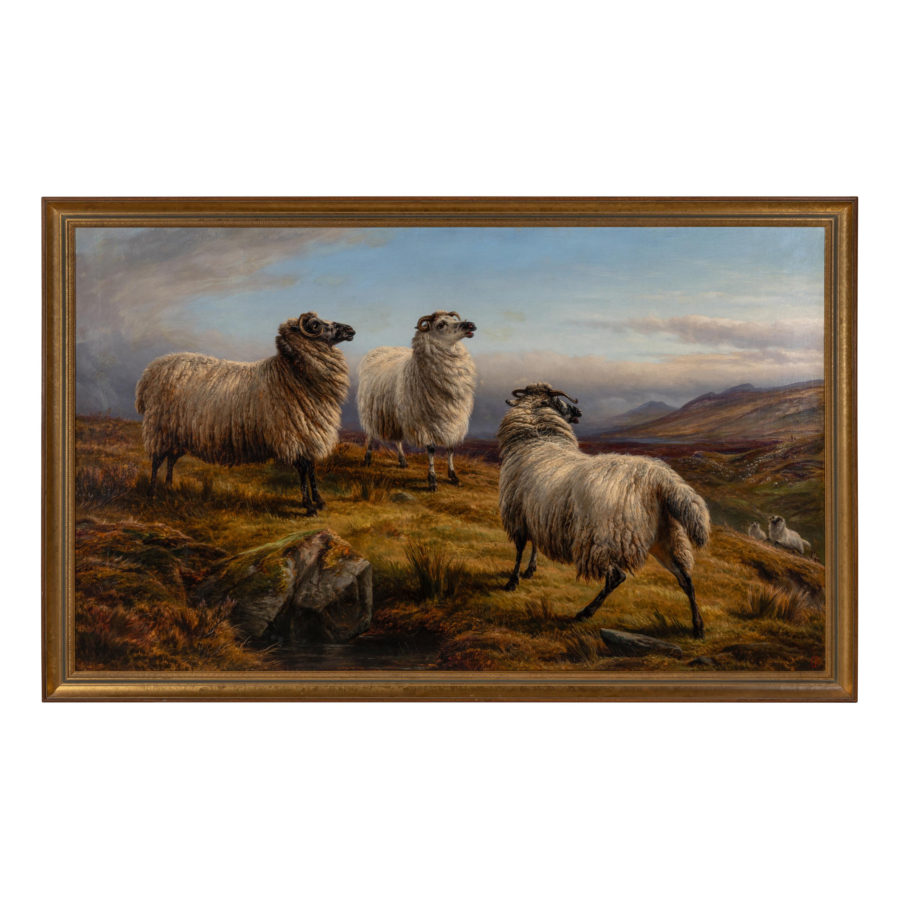 Charles Jones (British, 1836–1892) — Sheep, 1882