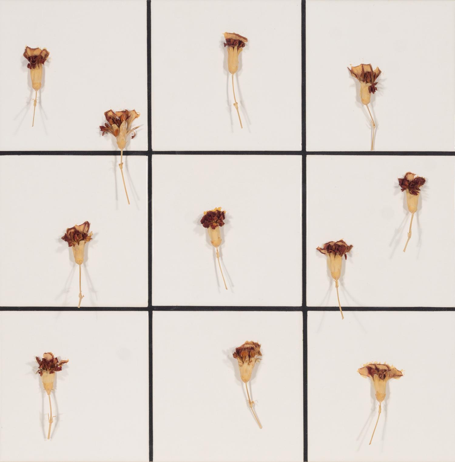 Tiles + Dried Flowers , 1996
