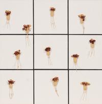 Tiles + Dried Flowers , 1996