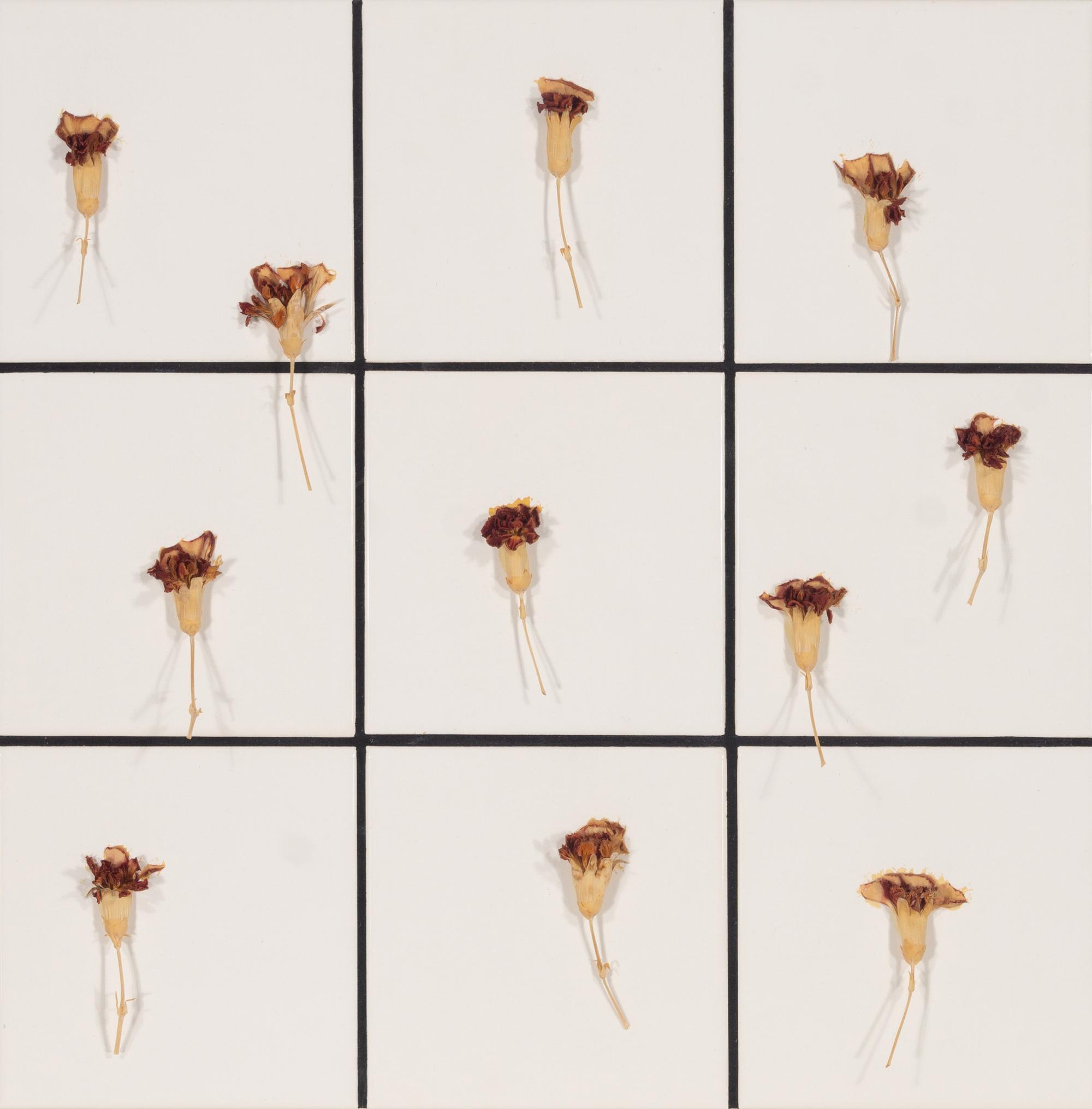 Tiles + Dried Flowers , 1996
