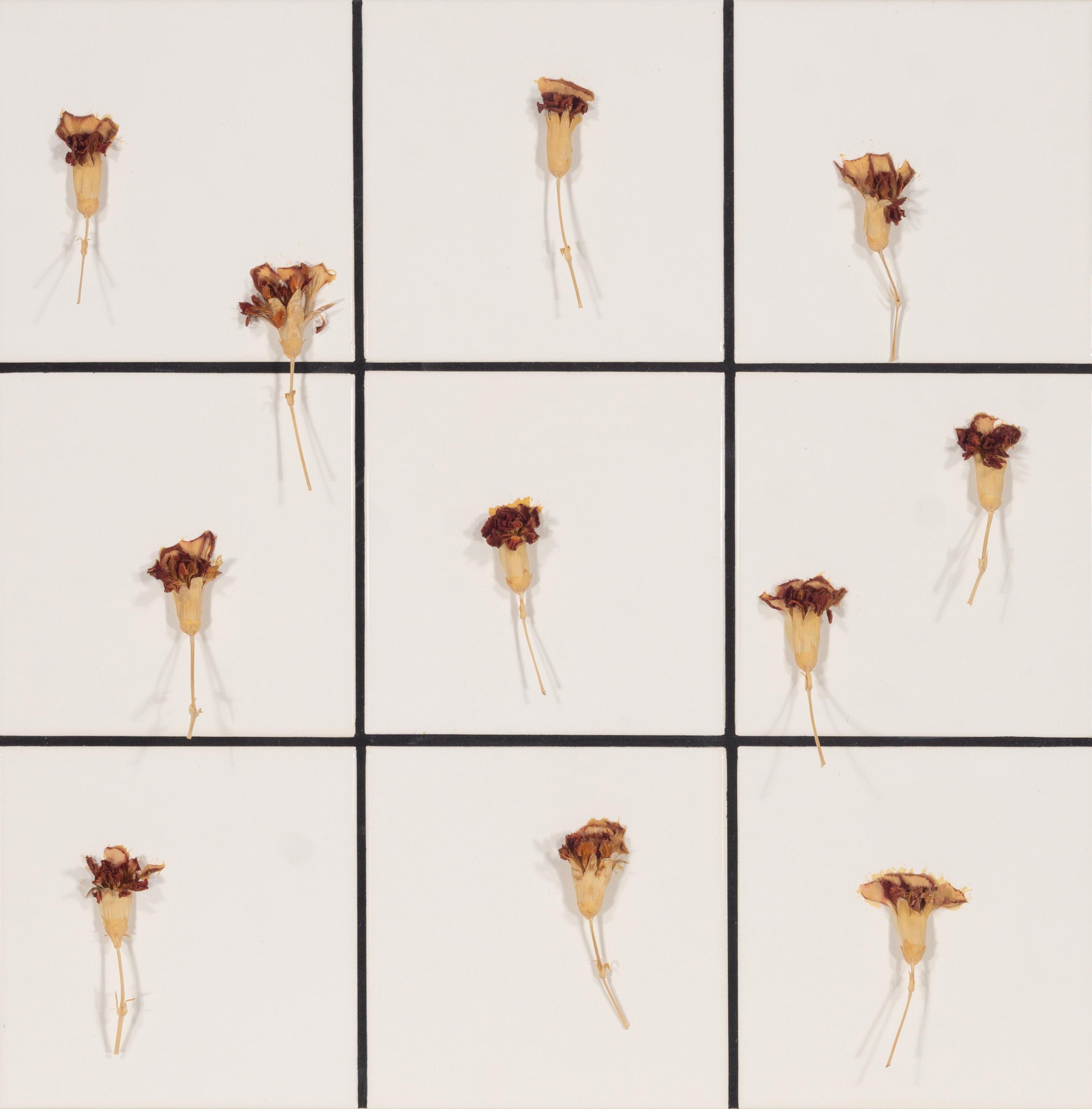 Tiles + Dried Flowers , 1996