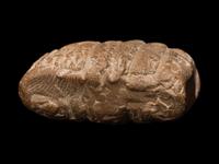 Two Sumerian Clay Cuneiform Tablets