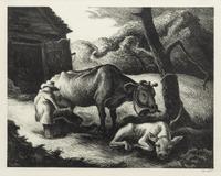 White Calf