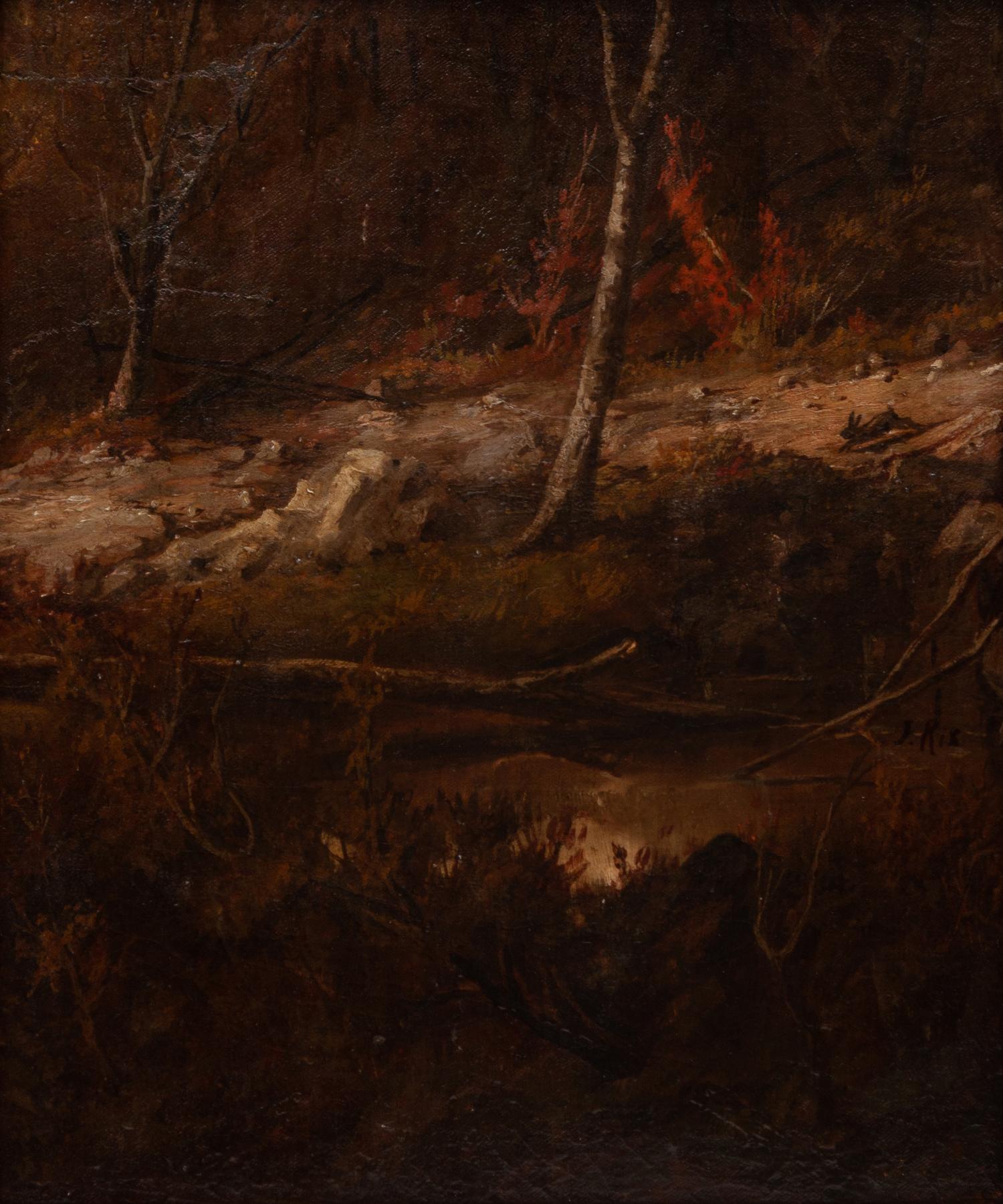 Untitled Fall Forest