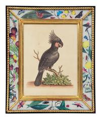 A Set of Twelve Hand-Colored Engravings of Parrots from A Natural History of Uncommon Birds by George Edwards (English, 1694-1773)