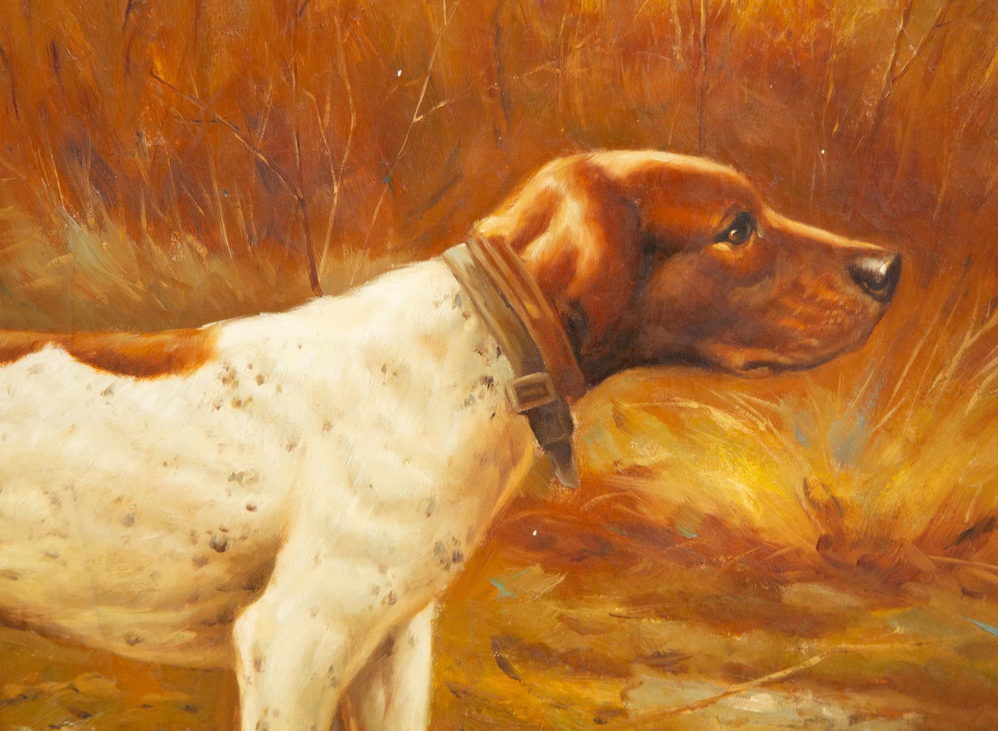 Beagle
