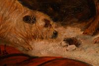 George Armfield (British, 1808-1893)