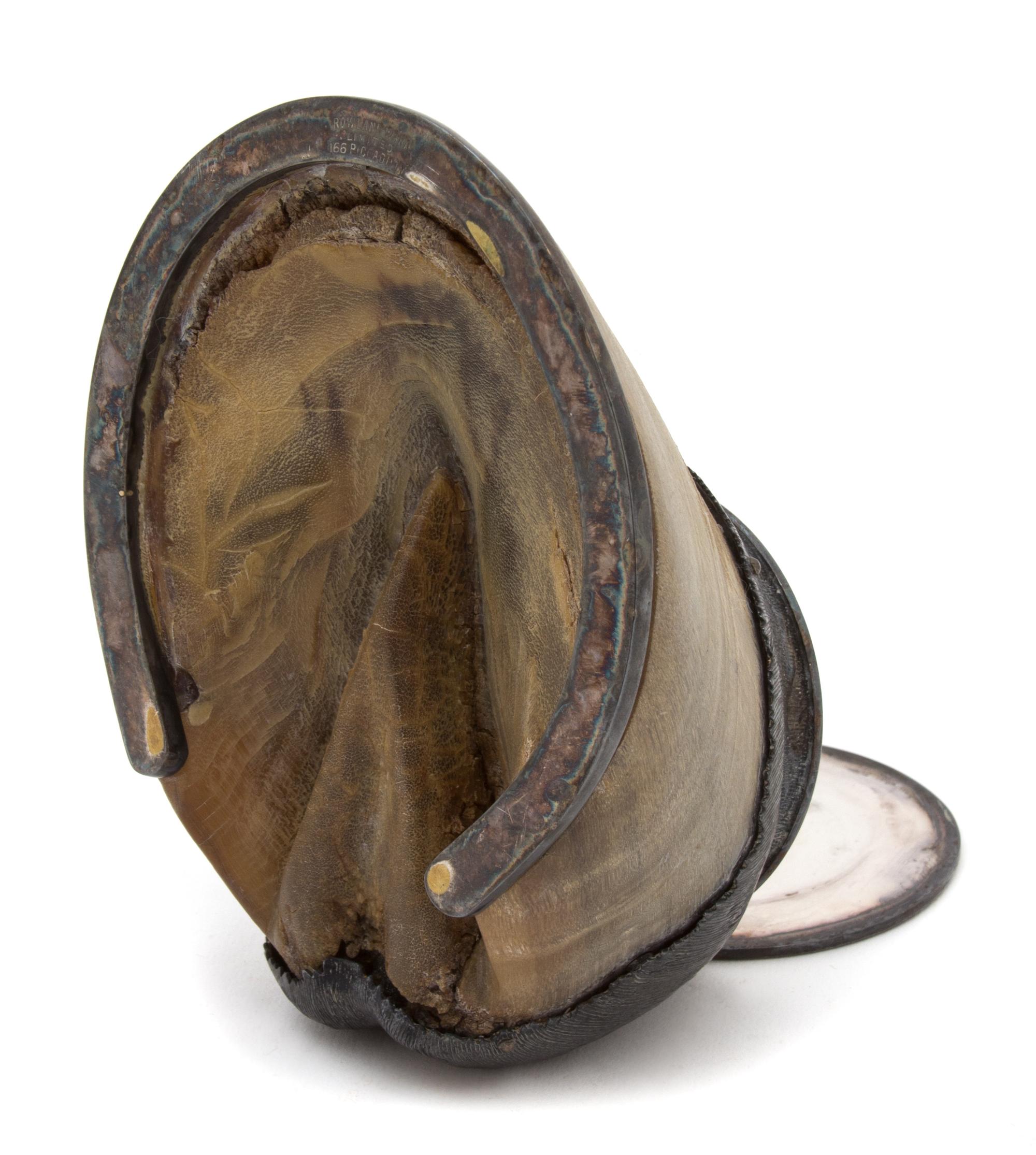 A Silver Plate Mounted Horse Hoof Ink Well Height 3 1/4 inches.