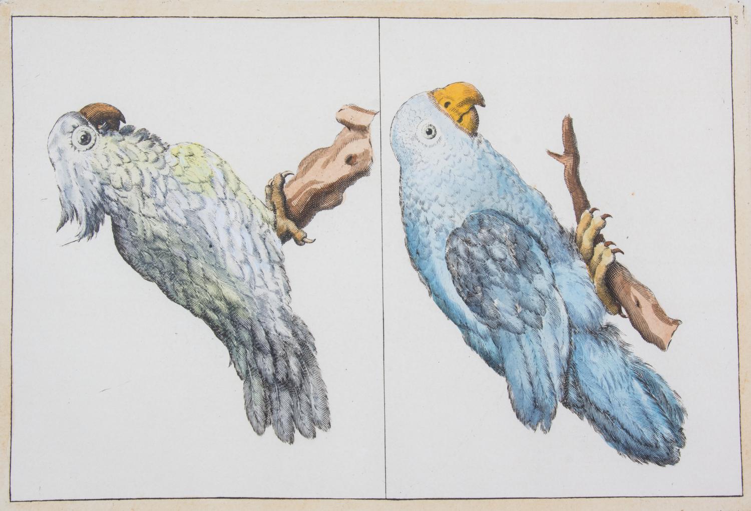 A Pair of Continental Handcolored Engravings 12 1/4 x 8 3/4 inches. — 19TH CENTURY