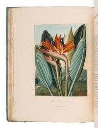 THORNTON, Robert John (1768-1837). Temple of Flora, or Garden of the Botanist, Poet, Painter, and Philosopher . London: for the author, 1812.