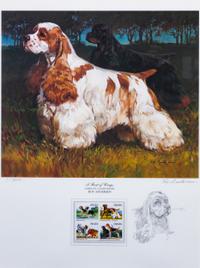 An American Water Spaniel Photomechanical Reproduction 18 x 13 3/4 inches.