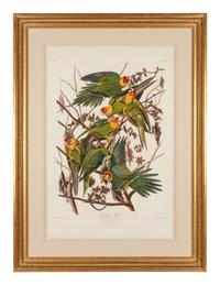 AUDUBON, John James (1785-1851)