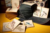 Four Sets of Japanese E-awase Karuta Playing Cards by Maruyama Oritsu (1817-1875), Nagasawa Roho (Mid-19th Century), Hara Zaisho (1813-1871) and Kishi Gantai (1782-1865)