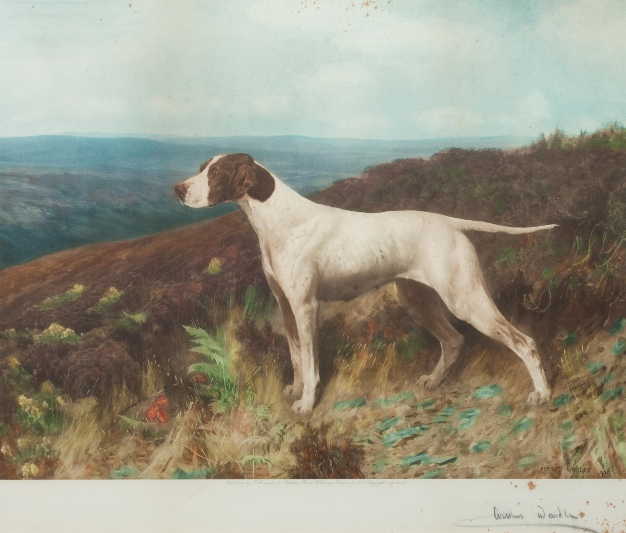 Three Works of Art depicting Pointers Largest: 19 1/4 x 22 1/2 inches.