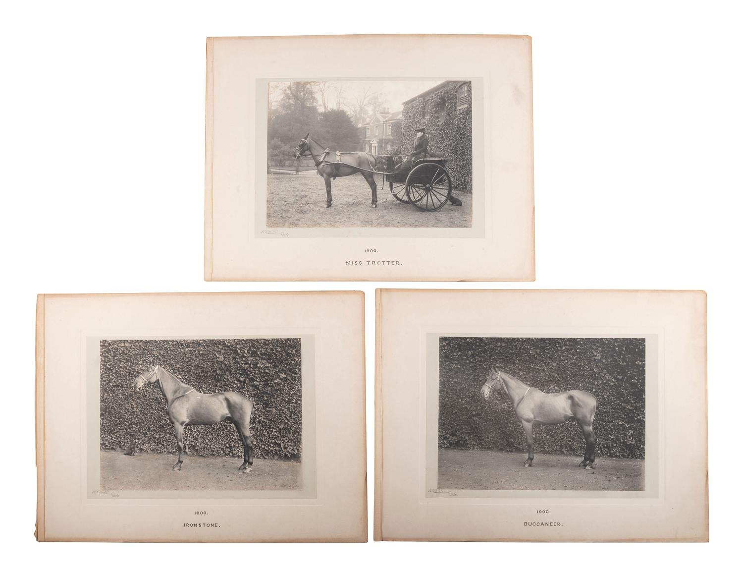 [EARLY PHOTOGRAPHY]. WINTER, W.W., photo. 6 platinum photographs of identified horses. Derby, 1900.