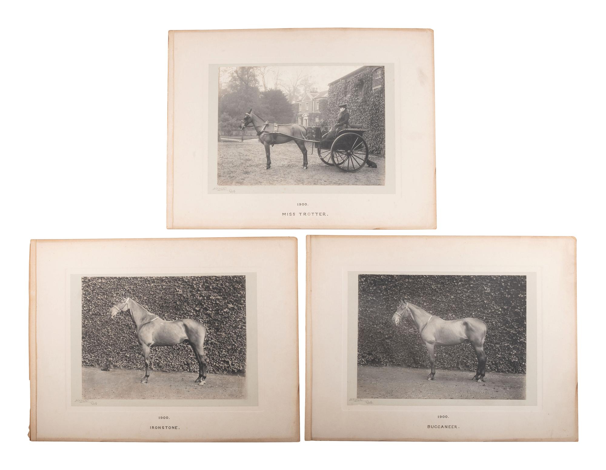 [EARLY PHOTOGRAPHY]. WINTER, W.W., photo. 6 platinum photographs of identified horses. Derby, 1900.
