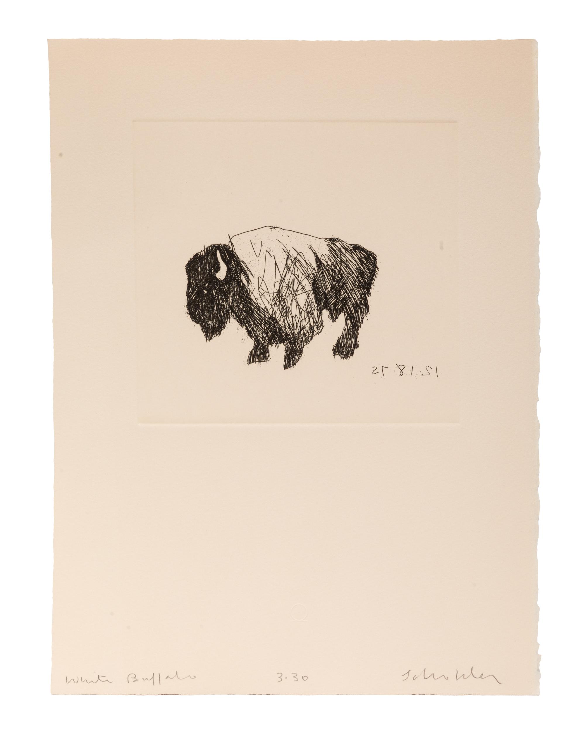 White Buffalo , edition 3/30