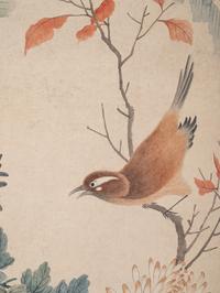 Lu Zhi