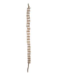 Plains Dentalia Shell Hair Ornament