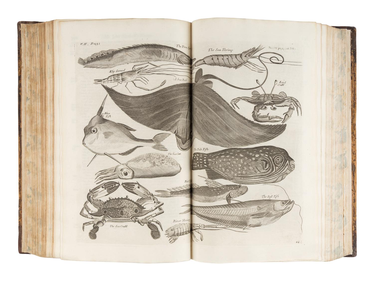 CHURCHILL, Awnsham (d. 1728), John CHURCHILL (fl. 1695) and Thomas OSBORNE (c. 1767). A Collection of Voyages and Travels, Some now First Printed from Original Manuscripts, others now first published in English. In Eight volumes. London: Printed by Assignment from Messieurs Churchill, for Thomas Osborne, 1752.