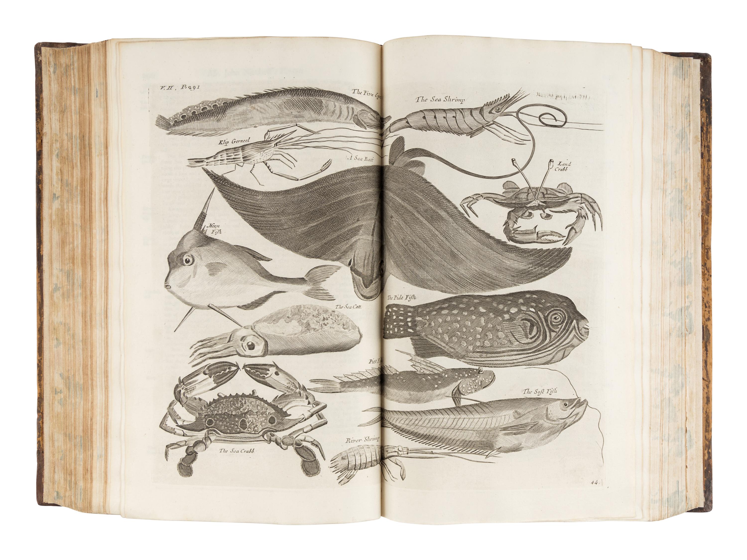 CHURCHILL, Awnsham (d. 1728), John CHURCHILL (fl. 1695) and Thomas OSBORNE (c. 1767). A Collection of Voyages and Travels, Some now First Printed from Original Manuscripts, others now first published in English. In Eight volumes. London: Printed by Assignment from Messieurs Churchill, for Thomas Osborne, 1752.