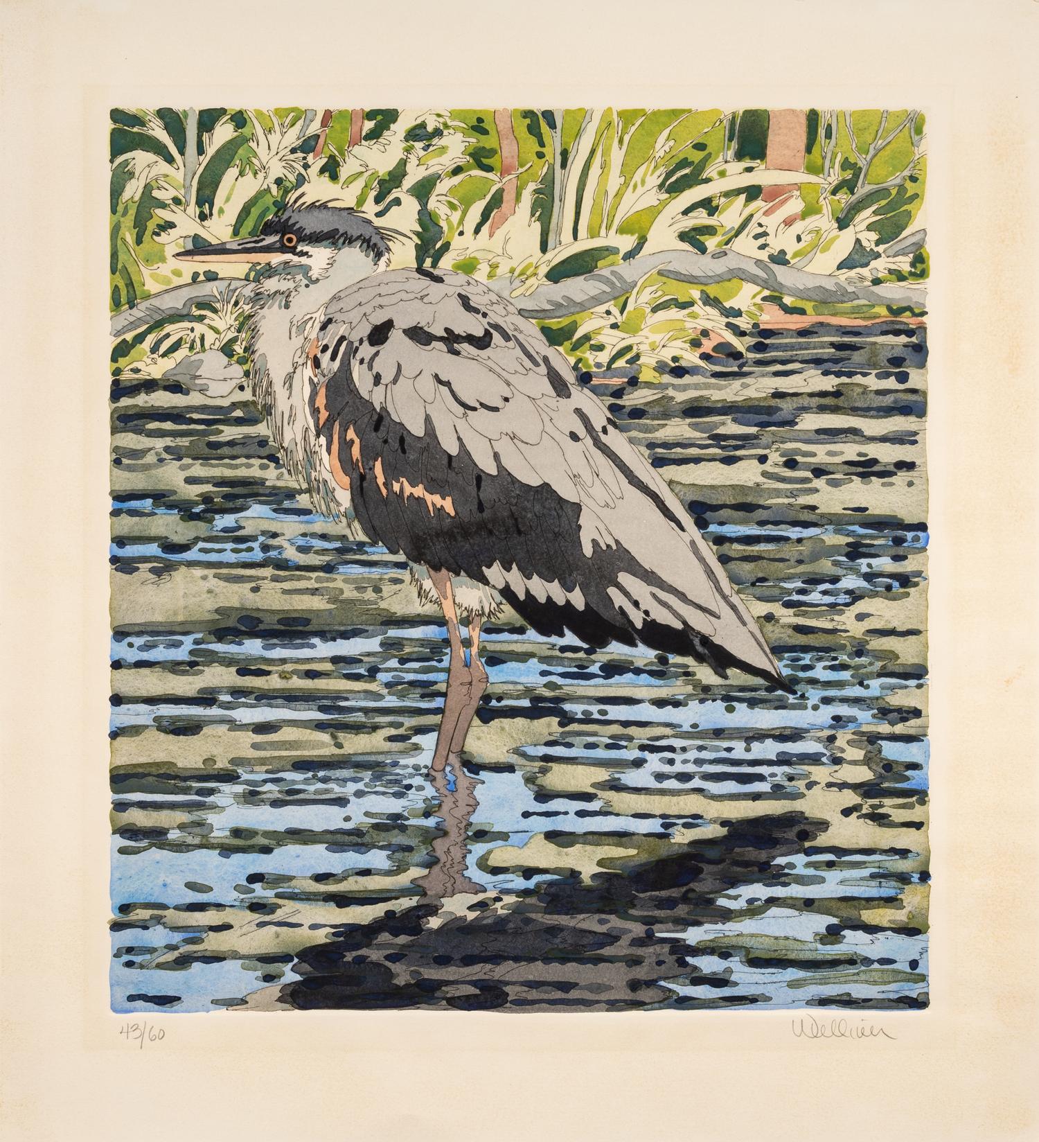 A Pair of Prints (Immature Great Blue Heron , 1978; Brown Trout, 1975)