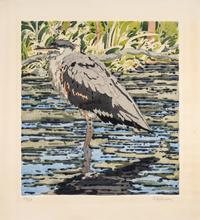 A Pair of Prints (Immature Great Blue Heron , 1978; Brown Trout, 1975)