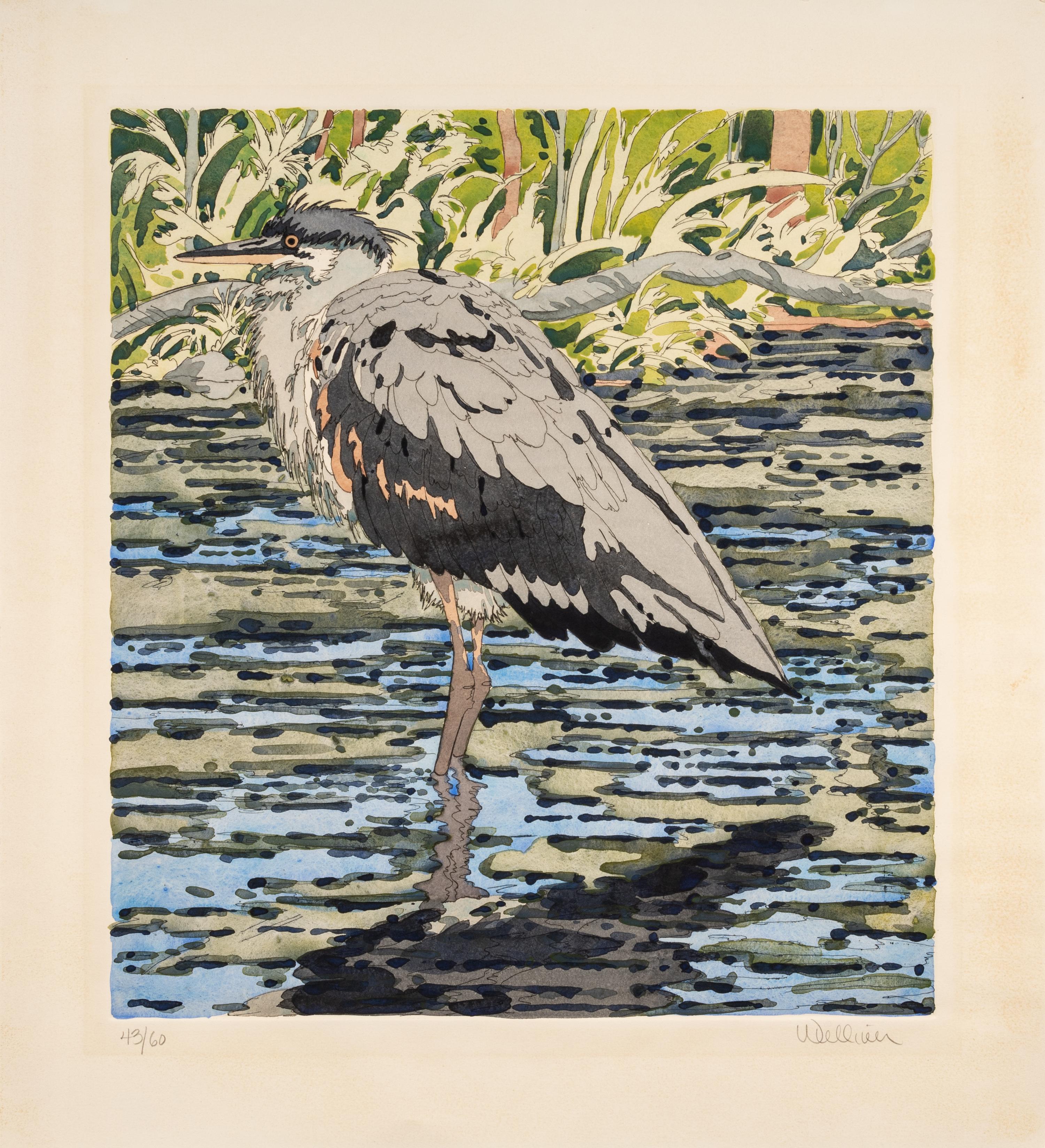 A Pair of Prints (Immature Great Blue Heron , 1978; Brown Trout, 1975)