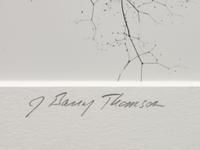 A group of four photographs ( Moqui Marbles, Arizona; Sumacs in Snow, North Conway, New Hampshire; Desert Trumpet in Snow, Utah; Untitled - Snow Covered Trees on Hillside )
