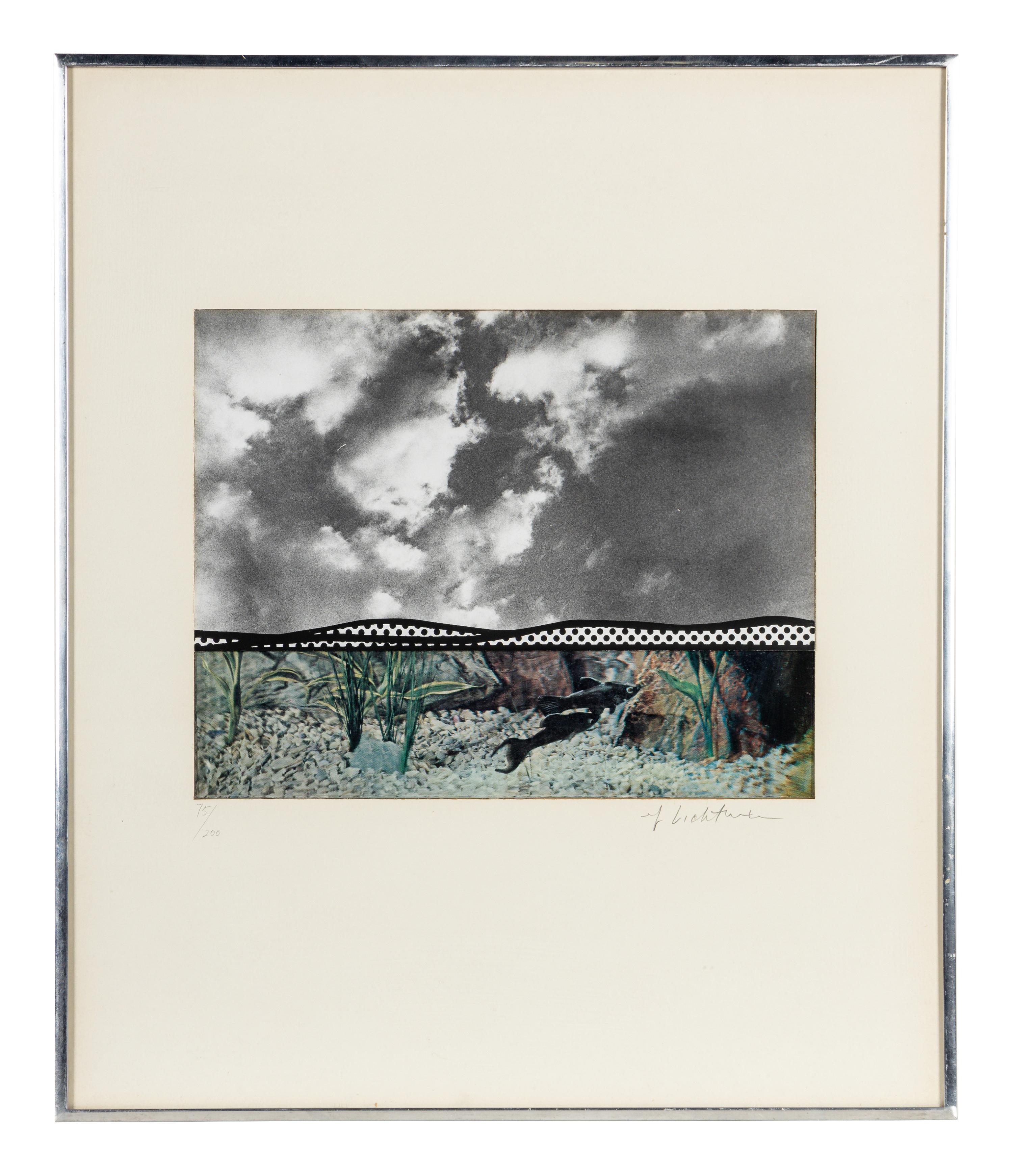 Fish and Sky (from Ten from Leo Castelli )