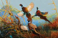 Triple Play