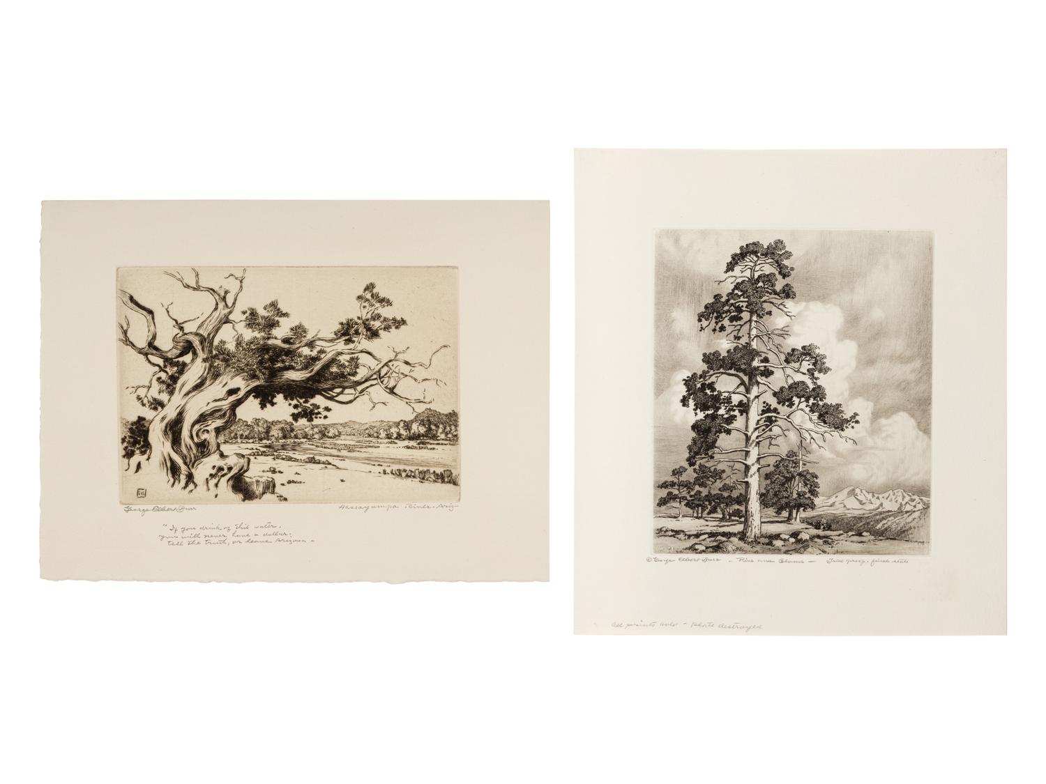 Two Works: Pine and Clouds and Hassayampa River- Arizona