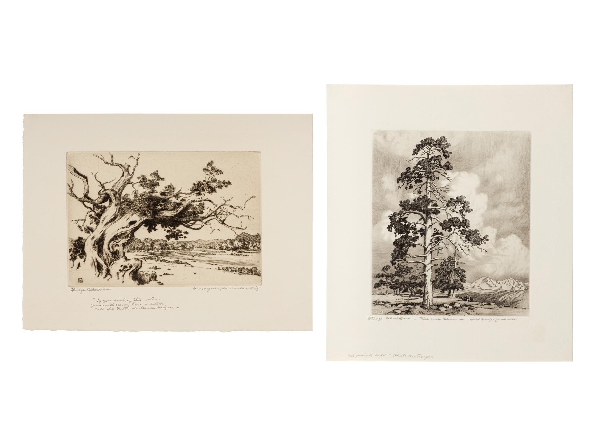 Two Works: Pine and Clouds and Hassayampa River- Arizona