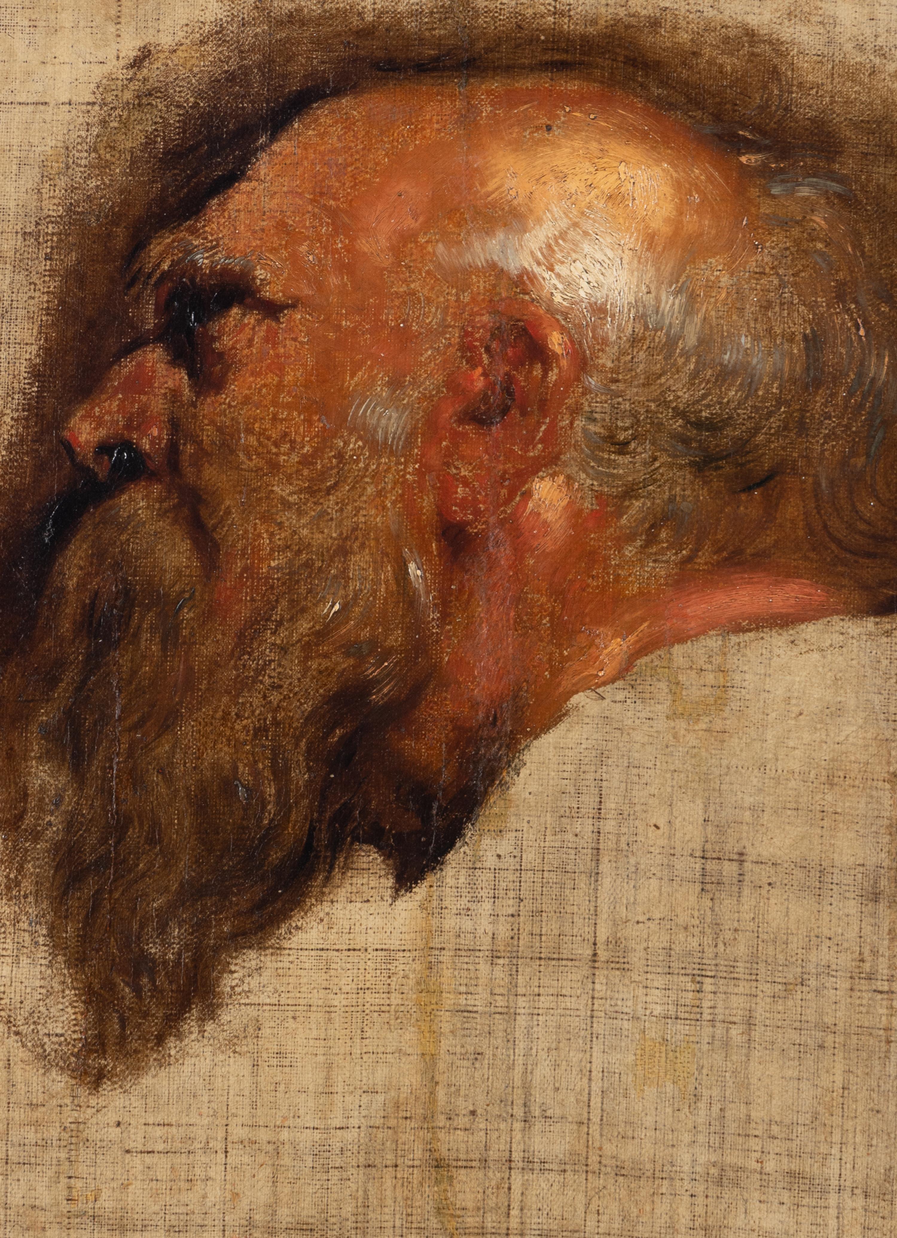Manner of Peter Paul Rubens (Flemish, 1577-1640) — Study of an Old Man in Profile , 17th century