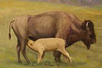 Bison