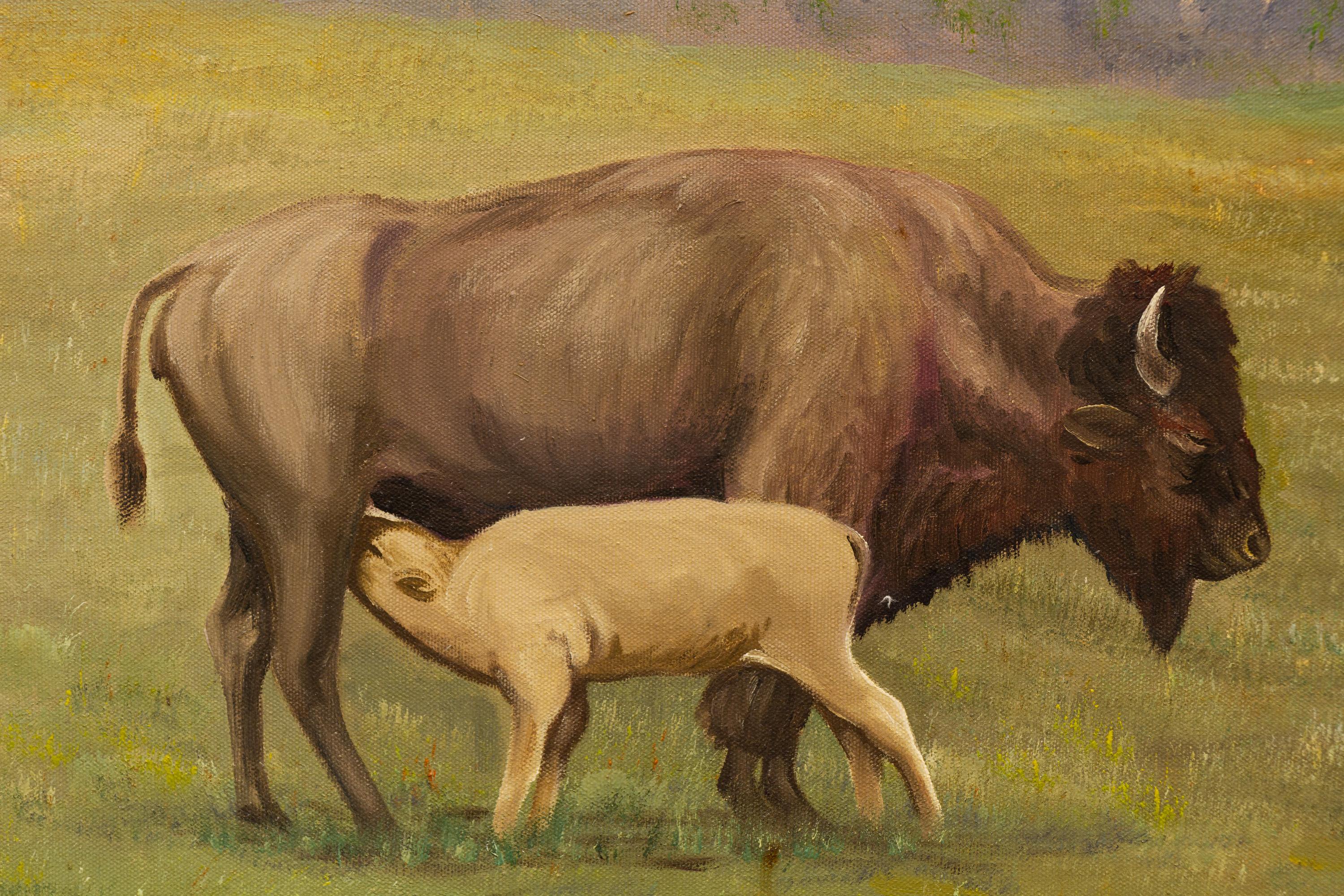 Bison