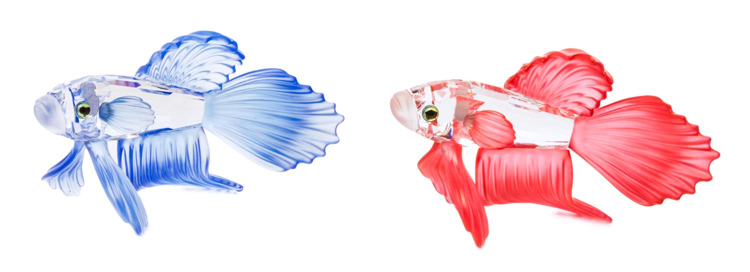 Two Swarovski Models of Fighting Fish Length of longest 3 1/2 inches.