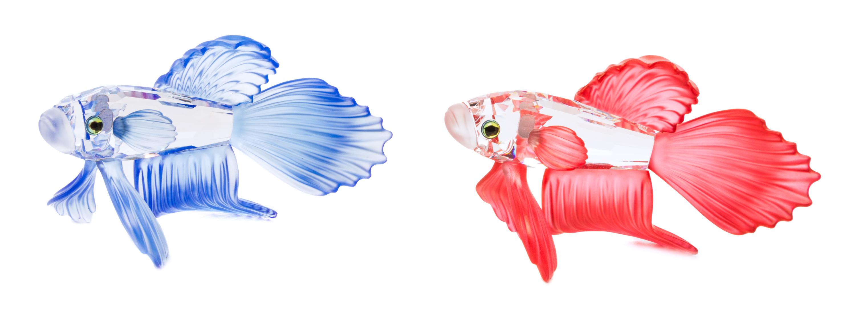 Two Swarovski Models of Fighting Fish Length of longest 3 1/2 inches.