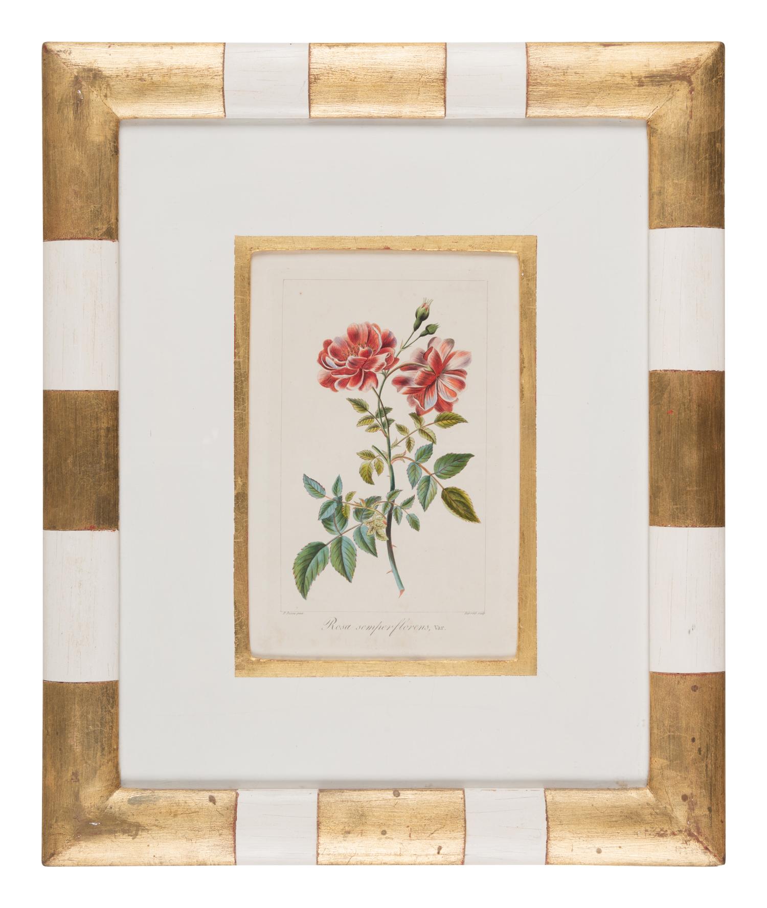 Three Botanical Hand-Colored Engravings after Pancrace Bessa (French, 1772-1846)