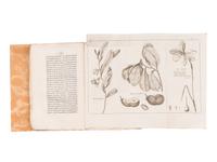 BARTRAM, William (1739-1823). Voyage dans les parties sud de l'Amerique Septentrionale; Savoir: les Carolines septentrionale et meridionale, la Georgie, les Florides orientale et occidentale, le pays des Cherokees, le vaste territoire des Muscogulges ou de la confederation Creek, et le pays des Chactaws . Translated from English into French by P.V. Benoist. Paris: Maradan, An IX [1801].