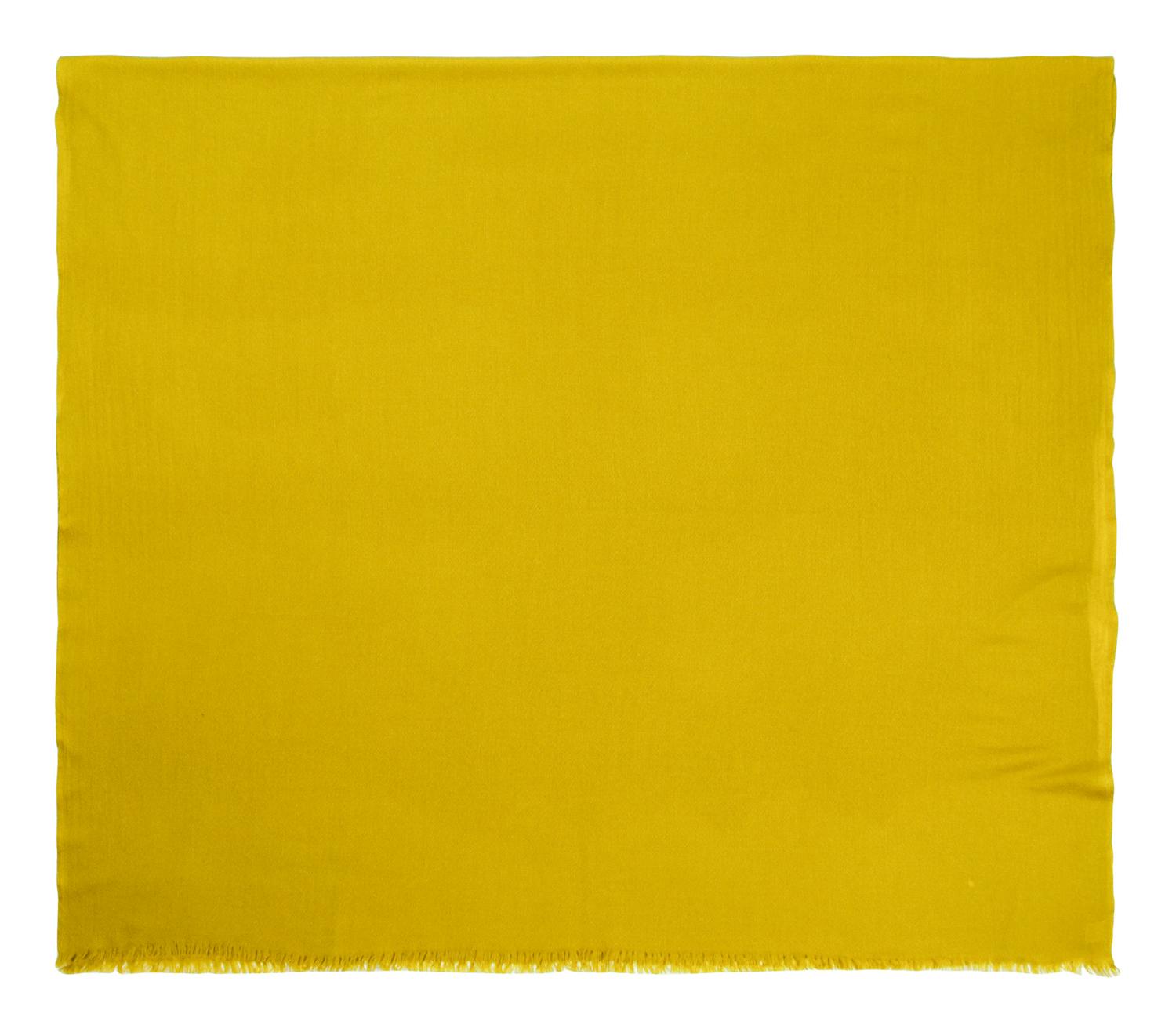 Hermès and Oscar de la Renta Cashmere Scarves/Shales, 2000-10s